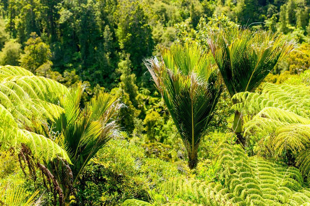 Waitakere Resort & Spa Auckland Dış mekan fotoğraf