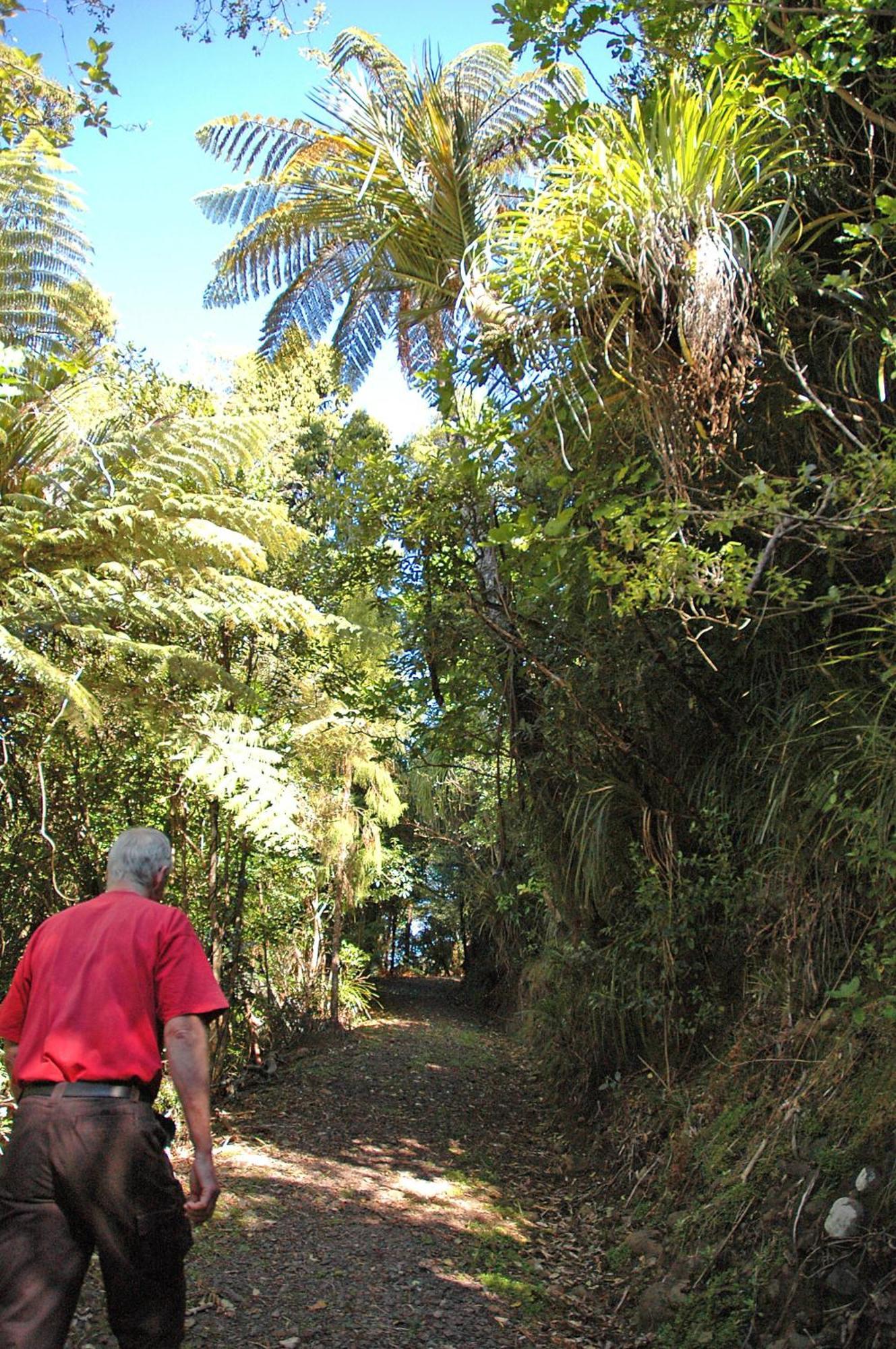 Waitakere Resort & Spa Auckland Dış mekan fotoğraf